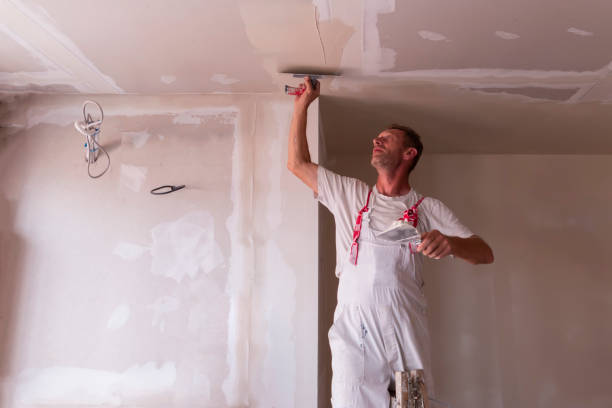 Reliable Stratford, TX Dry wall and painting Solutions